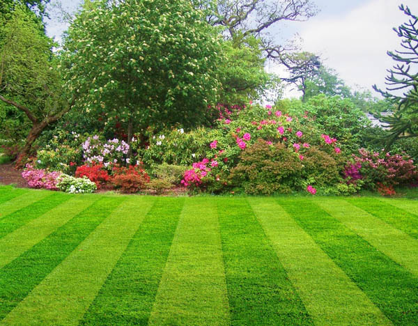good lawn